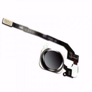 FINGERPRINT SAMSUNG S10E PRETO